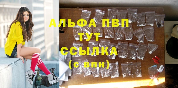 крисы Горняк