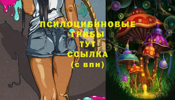 сатива Медвежьегорск