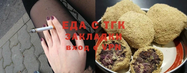 индика Богданович