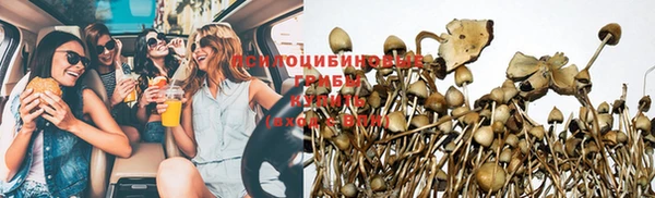 спайс Горнозаводск