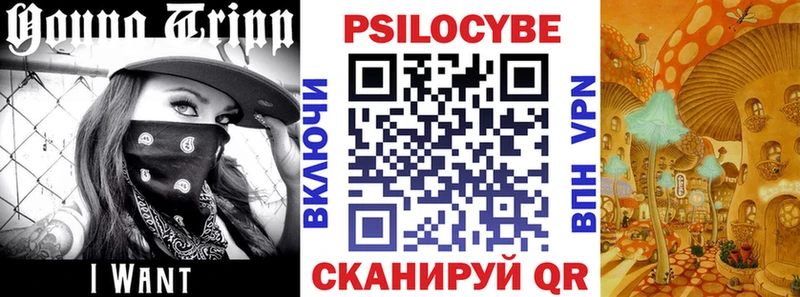 наркошоп  Карачев  кракен   Галлюциногенные грибы ЛСД 